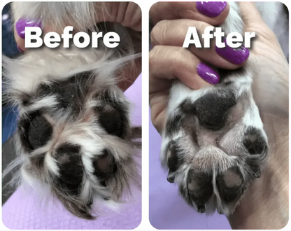 Pet Paw Trimmer for Dogs & Cats – Safe, Quiet Grooming Tool