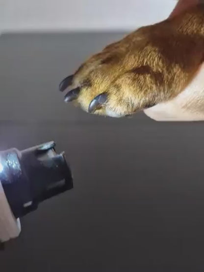 Stress-Free Nail Grinder for Pets